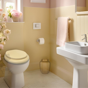 Beige Padded Toilet Seat